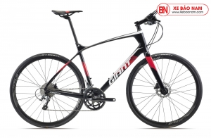 GIANT FASTROAD ADV 2019