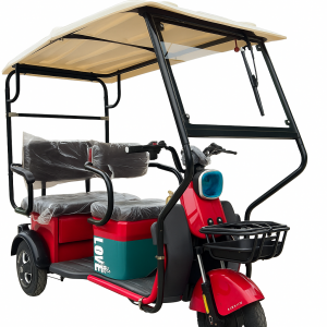 Xe Điện 3 Bánh T3 Có Mái Che