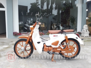 Xe Máy Ally Cub Classic 50cc Bản Độ
