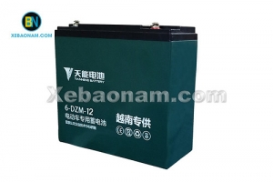 Ắc quy xe điện Tianneng 48V - 12Ah