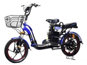 Xe đạp điện BMX Gold 18 inch