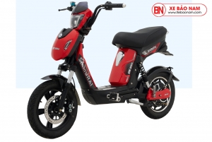 Xe Đạp Điện DK Samurai