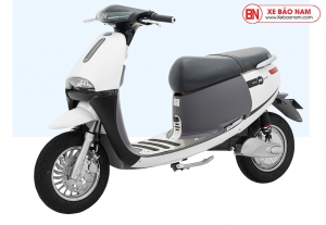 Xe Máy Điện DK GoGo New S