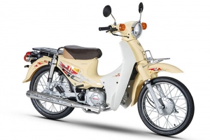 Xe Máy Dealim Cub RC 50cc