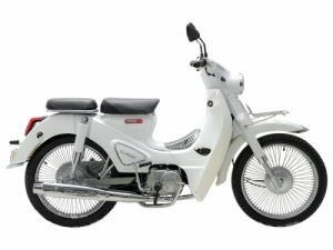 Xe Máy Ally Cub Classic 50cc