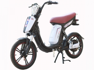 Xe đạp điện Cap A Plus