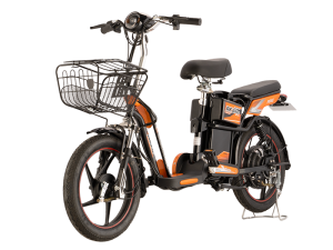 XE ĐẠP ĐIỆN DK POKE