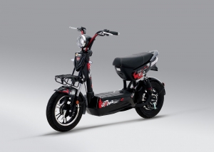 Xe Đạp Điện M133