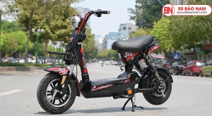 Xe Đạp Điện Nijia 133C