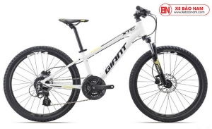 Xe Giant 2020 Cate 24 D1