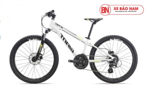 Xe đạp Giant XTC 20D