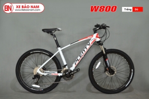Xe đạp PLENTY W800