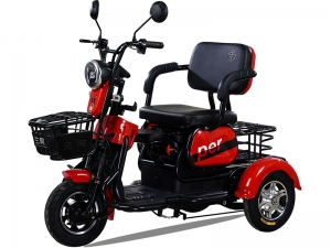 Xe điện 3 bánh 2 chỗ ngồi Super winner