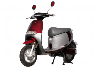 Xe Máy Điện Dk Gogo S