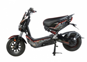 Xe Đạp Điện JVC Eco Xmen