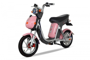 Xe đạp điện Nijia 20A