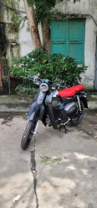 Xe Máy Espero Cub 83 Vvip 50cc (Đặc Biệt)