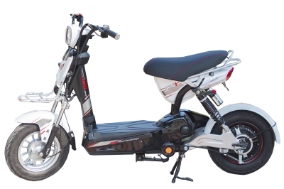 Xe Đạp Điện M133 S600i Mini