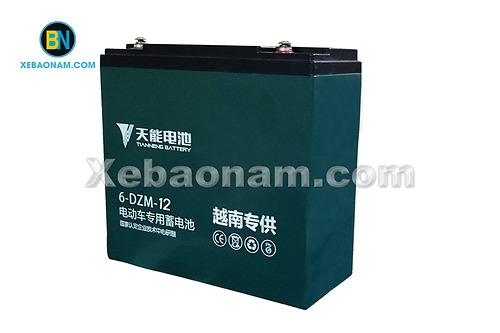 Ắc quy xe điện Tianneng 48V - 12Ah