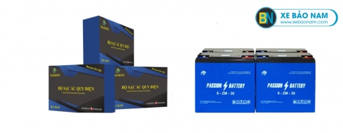 Acquy xe điện Passion