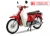 Xe Máy Cub 81 New 50cc