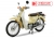 Xe Máy Cub 81 New 50cc