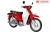 Xe Máy Halim Cub New 50cc