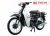 Xe Máy Cub Street 50cc
