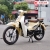 Xe Máy Lifan Cub 86 50cc (Vành Đúc)