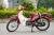 Xe Máy Espero Cub 81 50cc Đèn Kim Cương