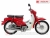 Xe Máy Ally Cub Classic 50cc
