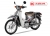 Xe Máy Cub New 50cc