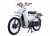 Xe Máy Cub Street 50cc