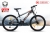 Xe Đạp Địa Hình MTB LIFE L24S