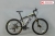 Xe Đạp Địa Hình Life Vic 2