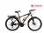 Xe đạp địa hình fascino fs326