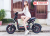 Xe Đạp Điện S600i Plus