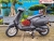 Xe Ga 50cc Canely G1 Đèn Vuông