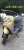 Xe Ga 50cc Gogo Minion