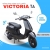 Xe Ga Victoria TA 50cc