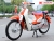 Xe Máy Halim Cub 86 50cc
