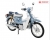 Xe Máy Halim Cub 50cc 2022