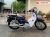 Xe Máy Yalim Cub 81 Sunny 50cc ( Vành Đúc )