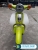 Xe Máy Cub 81 New 50cc