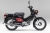 Xe máy 110cc Cub Cross Kumamon Honda