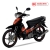 Xe Máy Halim Sirius RC 50cc