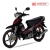 Xe Máy Halim Sirius RC 50cc