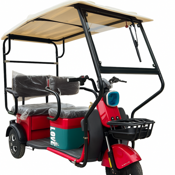 Xe Điện 3 Bánh T3 Có Mái Che