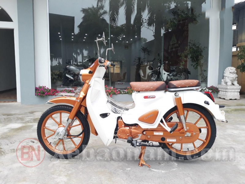 Xe Máy Ally Cub Classic 50cc Bản Độ