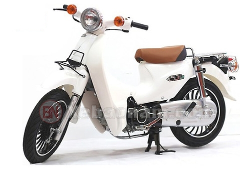 Xe máy Cub 81 50cc Lùn